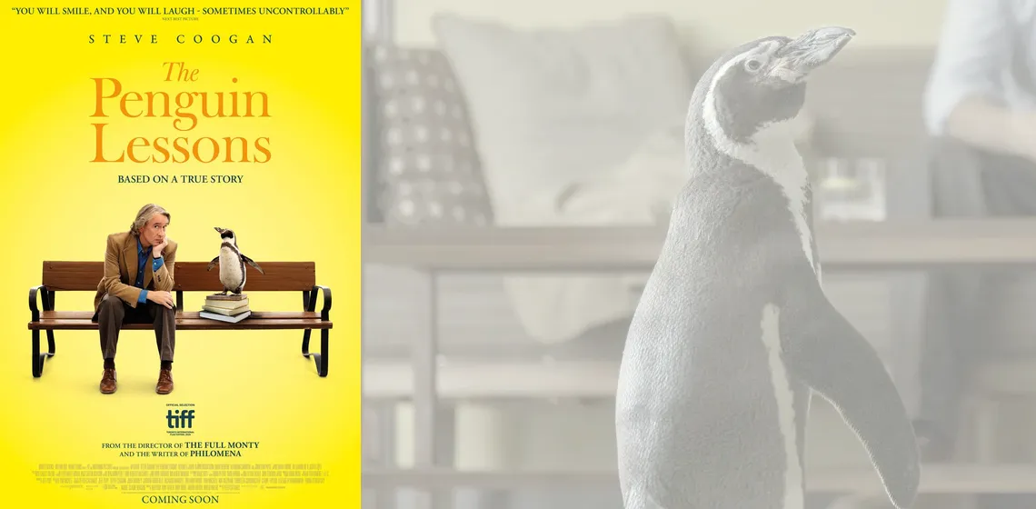 Hero image with Poster for movie THE PENGUIN LESSONS distributed by Paradisofilms Belgium
