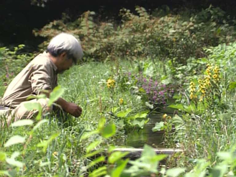 Image from movie MIYAZAKI SPIRIT OF NATURE distributed by paradisofilms Belgium scene 2